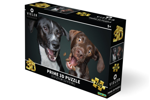 Puzzle 3D - Psi