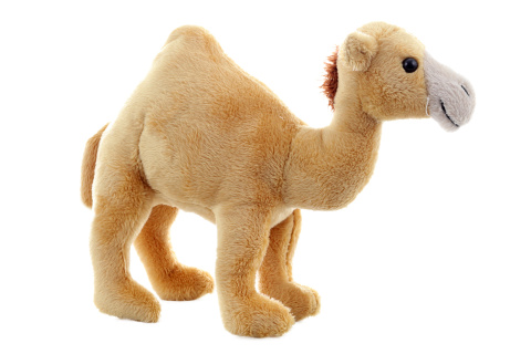 Ply� Dromed�r 20 cm