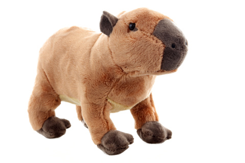 Ply� Kapybara 21 cm